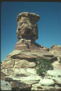 254032 Big Spring Canyon A4 Photo Print