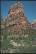 254034 Zion National Park, Utah A4 Photo Print
