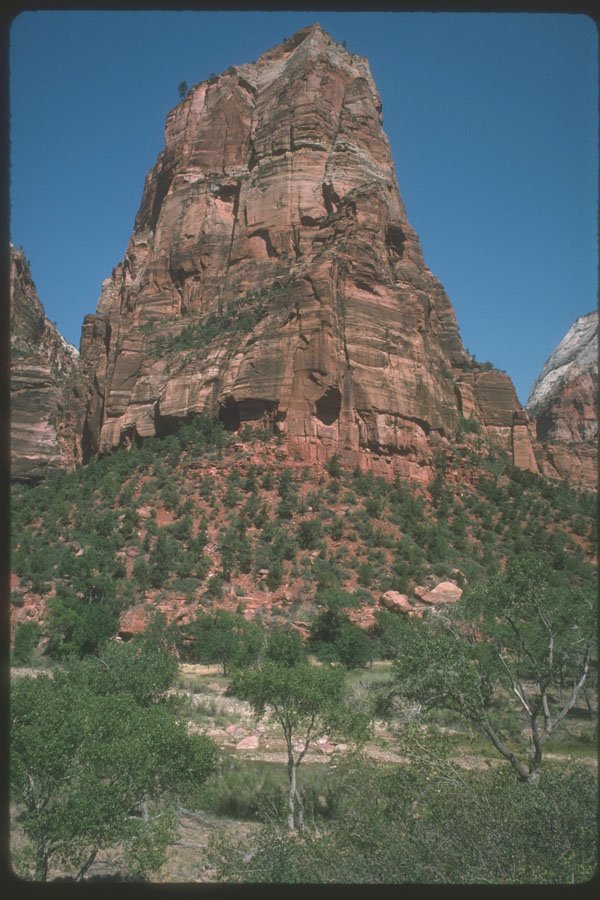 254034 Zion National Park, Utah A4 Photo Print