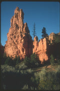 254049 Red Spires A4 Photo Print