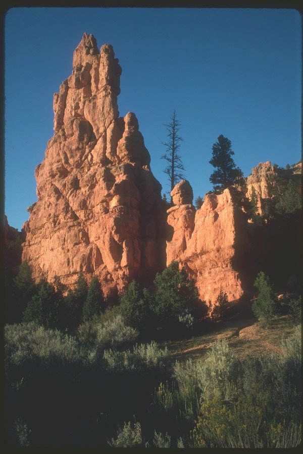 254049 Red Spires A4 Photo Print