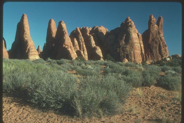 254072 Devil's Garden Fins A4 Photo Print