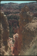 254074 Bryce Canyon Trail A4 Photo Print