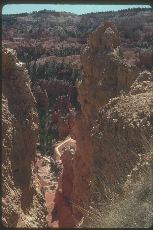 254074 Bryce Canyon Trail A4 Photo Print