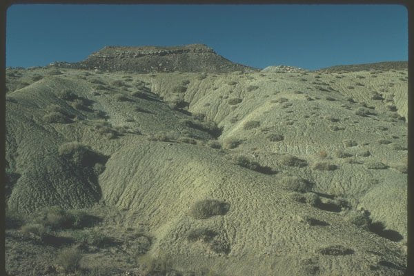 254079 Desert Landscape And Vegetation A4 Photo Print