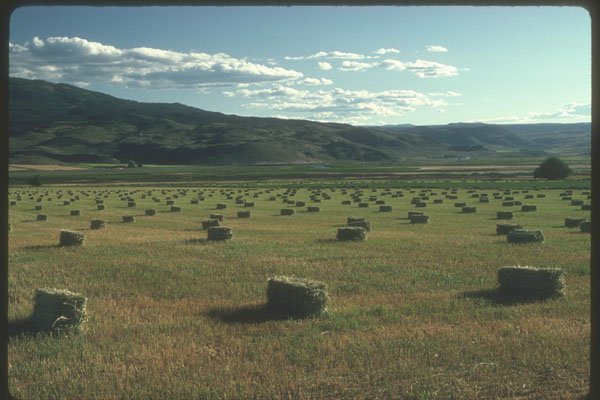 254085 Harvest In Loa Utah A4 Photo Print