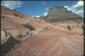 254091 Zion National Park A4 Photo Print