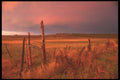 255001 After The Storm, Near Moab A4 Photo Print