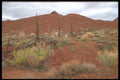 255002 Castle Valley, Near Moab A4 Photo Print