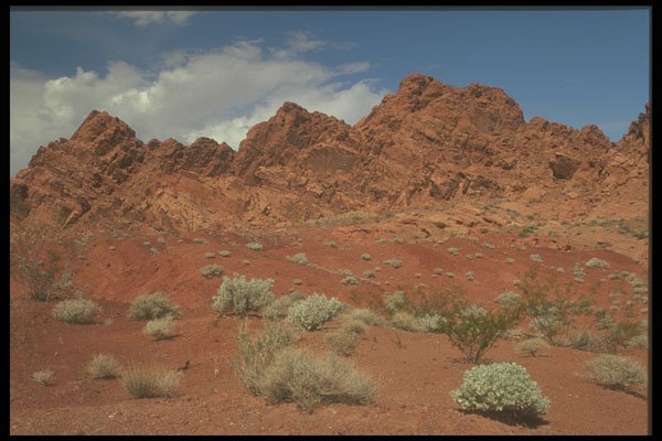 255003 Valley Of Fire A4 Photo Print