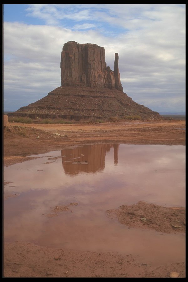 255006 Elephant Rock, Monument Valley A4 Photo Print