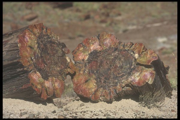 255017 Fractured, Petrified Forest A4 Photo Print