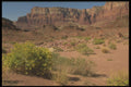 255029 Scarlet Bluffs, Marble Canyon A4 Photo Print