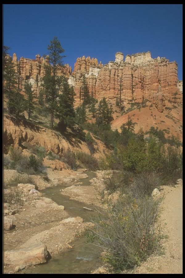 255033 Fluted Wall, Bryce Canyon A4 Photo Print