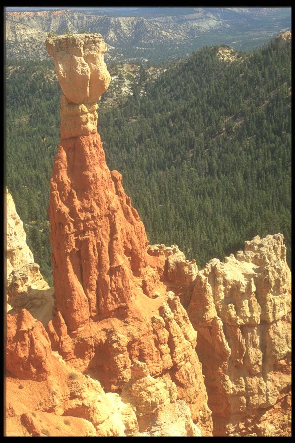 255036 Thor's Hammer, Bryce Canyon A4 Photo Print