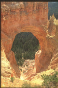 255041 Natural Bridge, Bryce Canyon A4 Photo Print