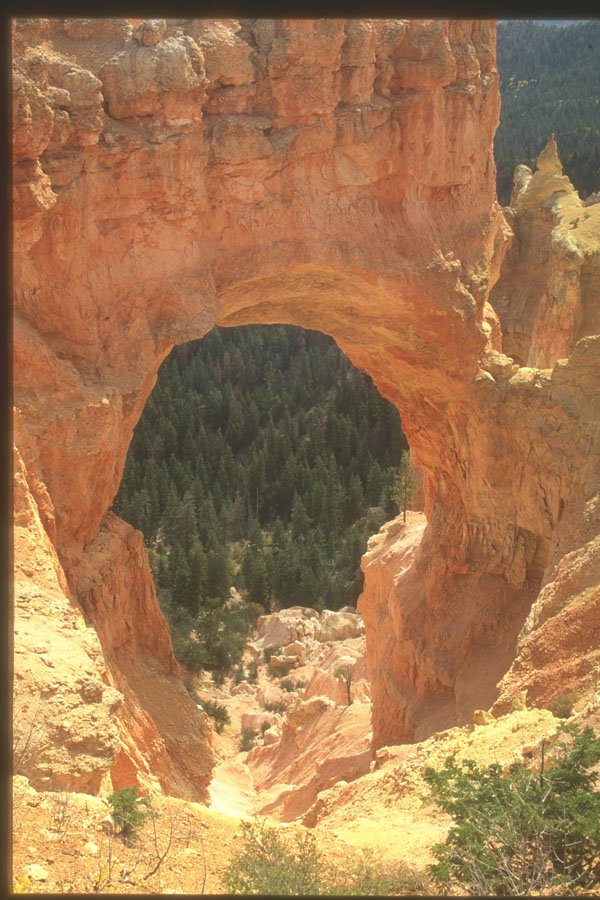 255041 Natural Bridge, Bryce Canyon A4 Photo Print