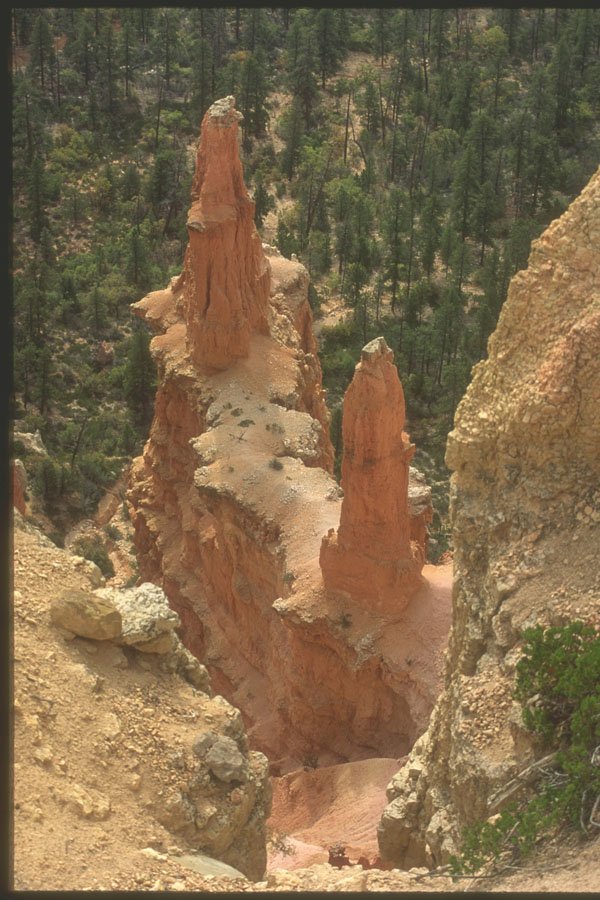 255046 Twin Pillars, Bryce Canyon A4 Photo Print