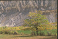 255050 Fall Colors Near Hanksville A4 Photo Print