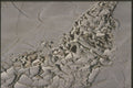255053 Dried Up Mud, Near Hanksville A4 Photo Print