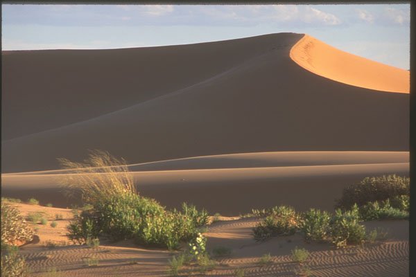 255055 Sand Dunes A4 Photo Print