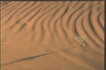 255056 Wavelets In The Sand A4 Photo Print