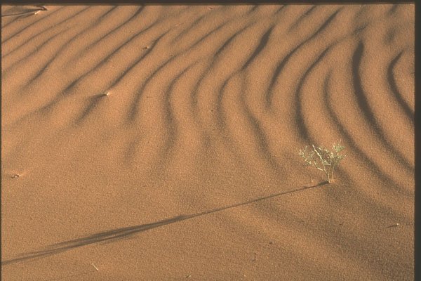 255056 Wavelets In The Sand A4 Photo Print