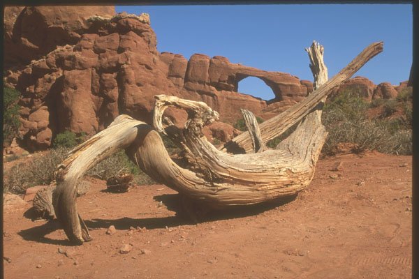 255064 Skyline Arch, Arches National Park A4 Photo Print