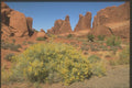 255067 Park Avenue, Arches National Park A4 Photo Print