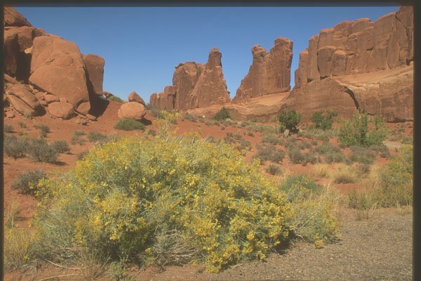 255067 Park Avenue, Arches National Park A4 Photo Print