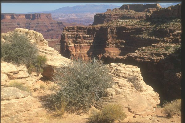 255072 Schafer Trail Overlook, Canyonlands National Park A4 Photo Print