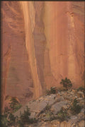 255080 Tapestry Wall, Capitol Reef A4 Photo Print