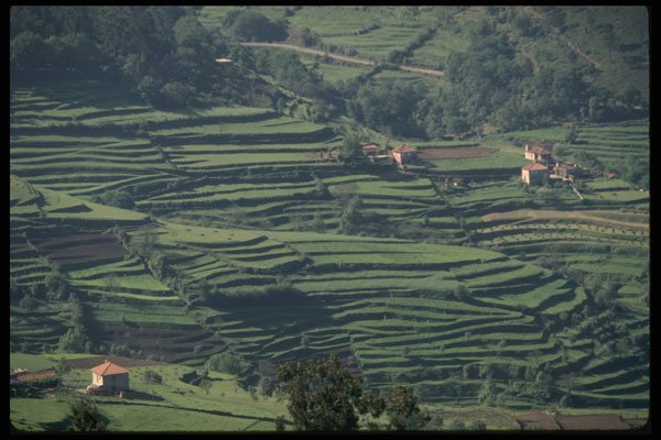 256000 Terraced Fields, Douro Valley A4 Photo Print