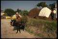 256008 Woman Riding Donkey In Village A4 Photo Print