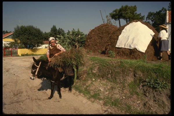 256008 Woman Riding Donkey In Village A4 Photo Print