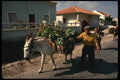 256009 Farmers Returning Home With Produce And Firewood A4 Photo Print