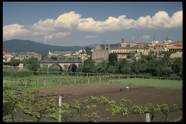 256010 Town Of Barcelos, Surrounded By Fields And Vineyards A4 Photo Print