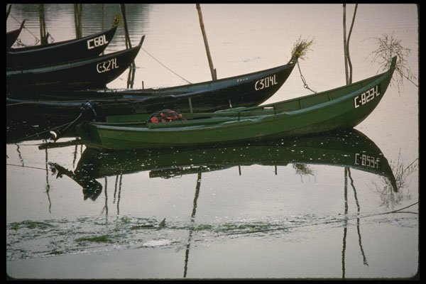 256024 Fishing Boats At Rest, Minho River A4 Photo Print