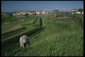 256026 Fortress Town Of Valenca, Along The Minho River A4 Photo Print