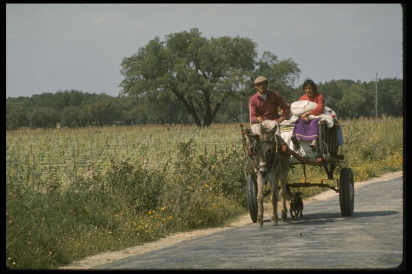 256031 Gypsy Couple On Country Road A4 Photo Print
