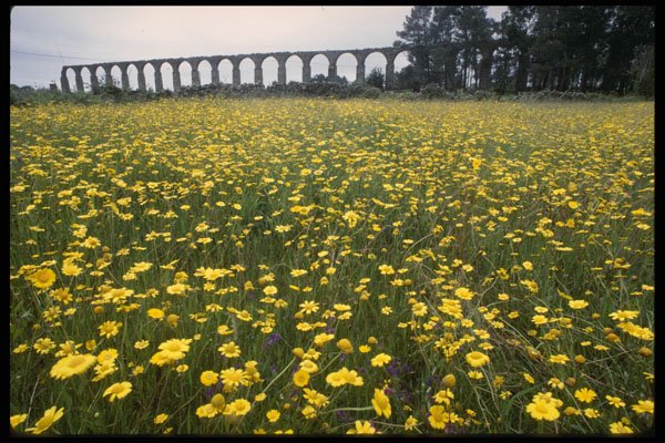 256043 Roman Aqueduct, Vila Do Conde A4 Photo Print