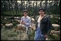 256048 Mother And Son Sheperding Goats And Sheep A4 Photo Print