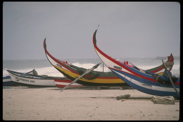 256055 Typical Portuguese Fishing Boats A4 Photo Print