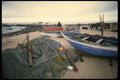 256057 Kelp And Seaweed Gathering On Coast A4 Photo Print