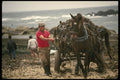 256058 Wagons Of Kelp Being Hauled Up Coast A4 Photo Print