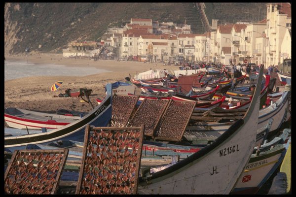 256063 Fishing Boats On The Nazare Beachfront A4 Photo Print