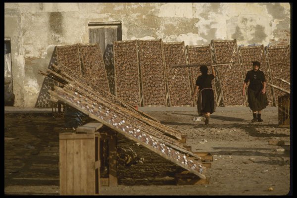 256065 Fishermen's Wives Maintaining Fish drying Racks A4 Photo Print