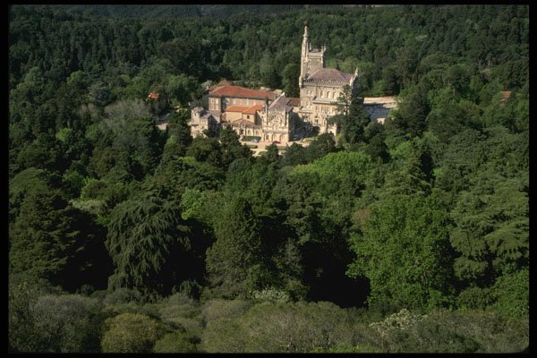 256076 Bucaco Palace A4 Photo Print
