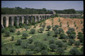 256087 Orchards And Olive Groves Near Aqueduct A4 Photo Print