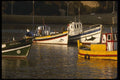 256095 Fishing Boats At Berth A4 Photo Print